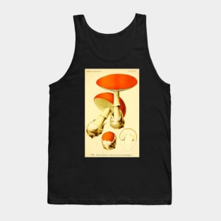 Amanita caesarea - Dufour, L. Tank Top